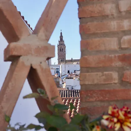La Joya De La Alcazaba Apartment